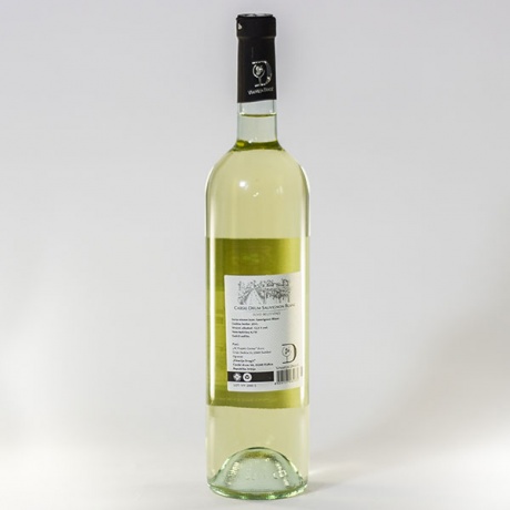 sauvignon_blanc2